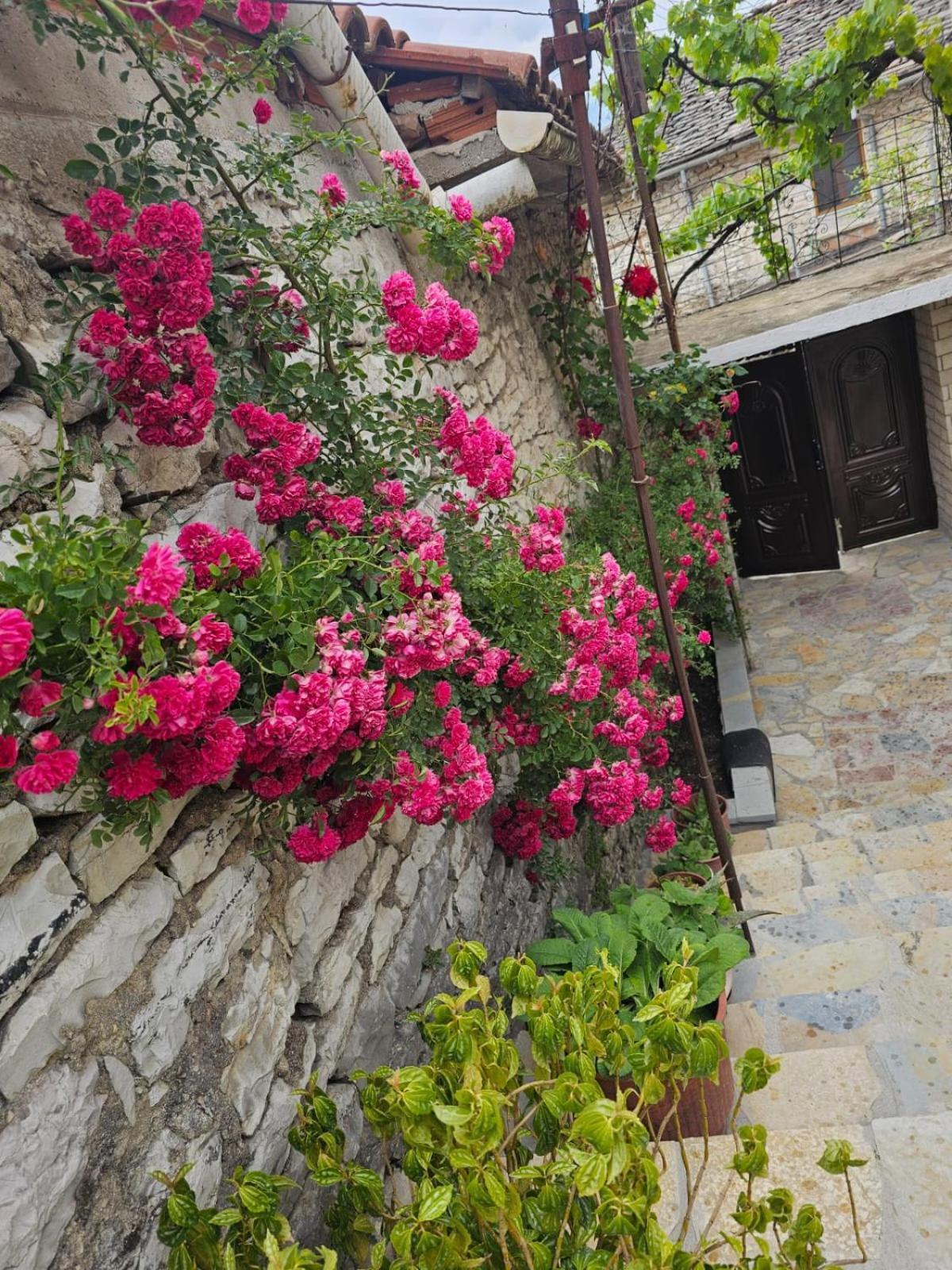 Gjirokastër Luigi Guest House מראה חיצוני תמונה