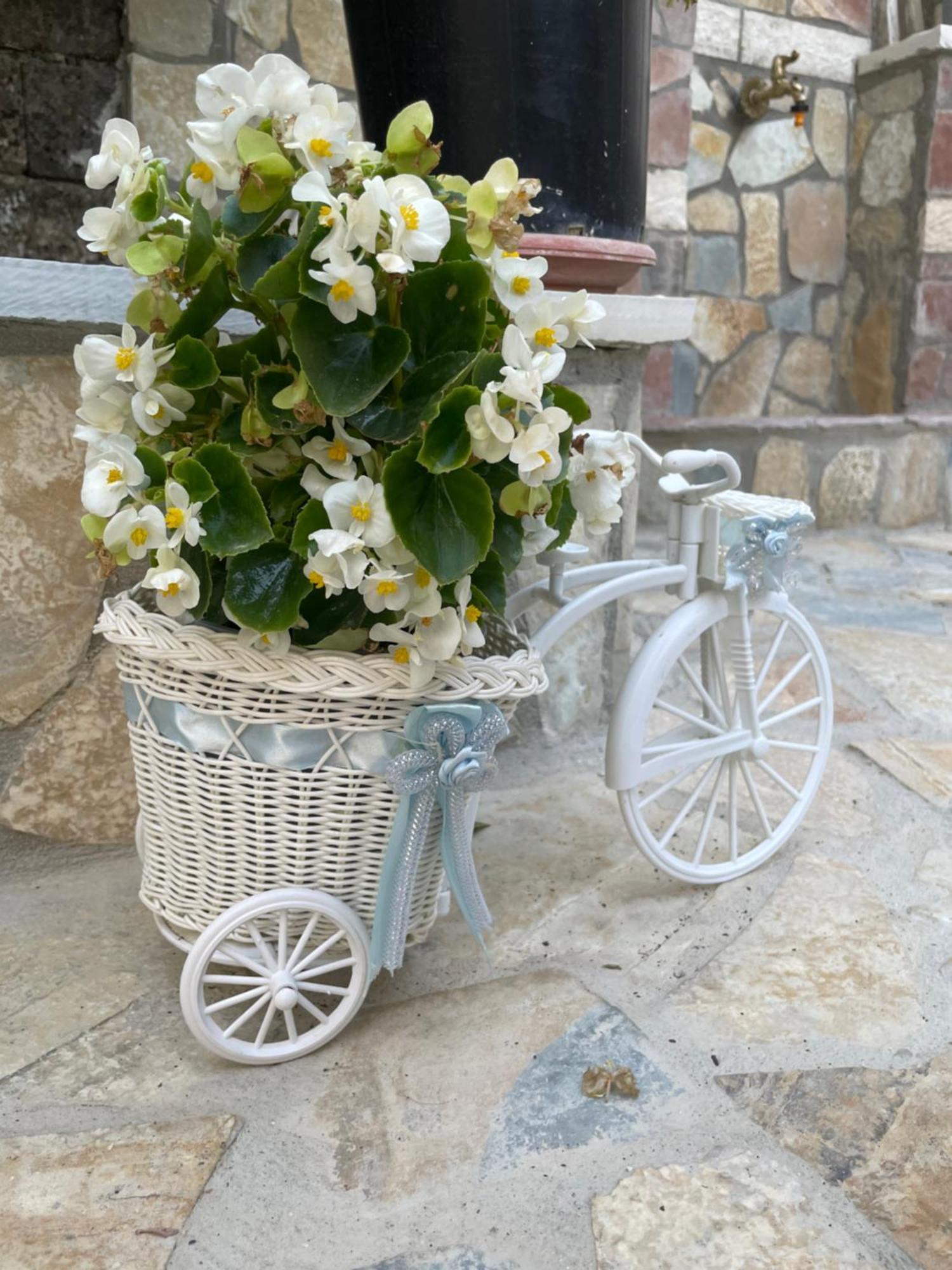 Gjirokastër Luigi Guest House מראה חיצוני תמונה