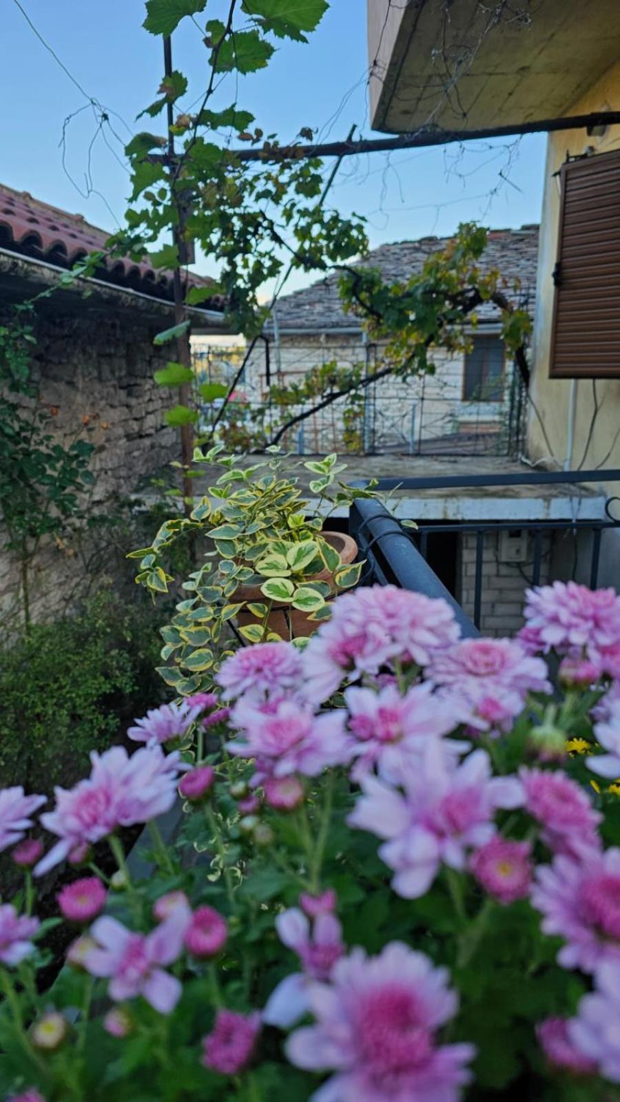 Gjirokastër Luigi Guest House מראה חיצוני תמונה